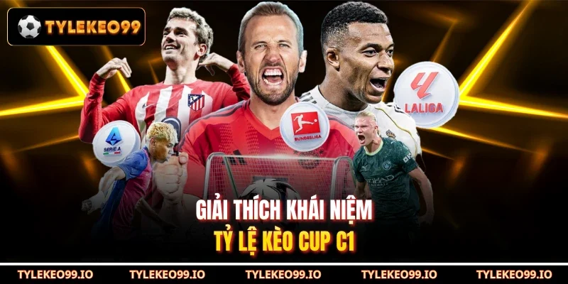 Giải thích khái niệm tỷ lệ kèo Cup C1