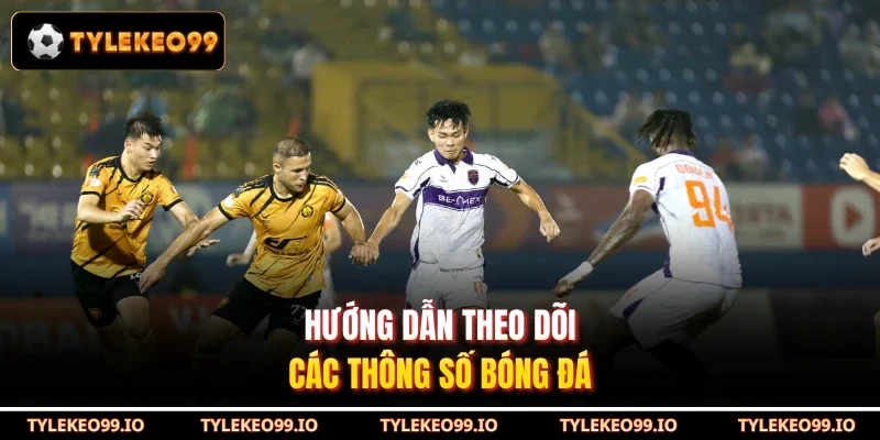Hướng dẫn theo dõi các thông số bóng đá