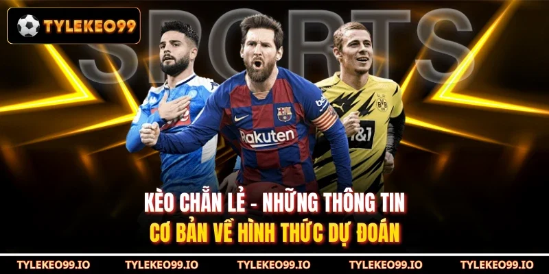 Kèo Chẵn Lẻ - Những Thông Tin Cơ Bản Về Hình Thức Dự Đoán
