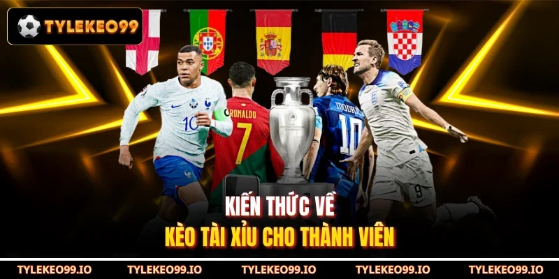 Kiến thức về kèo tài xỉu cho thành viên