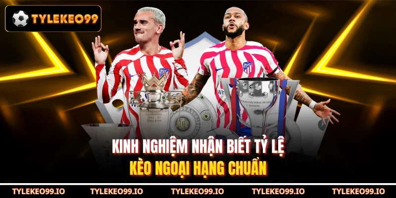 Kinh nghiệm nhận biết tỷ lệ kèo Ngoại hạng chuẩn