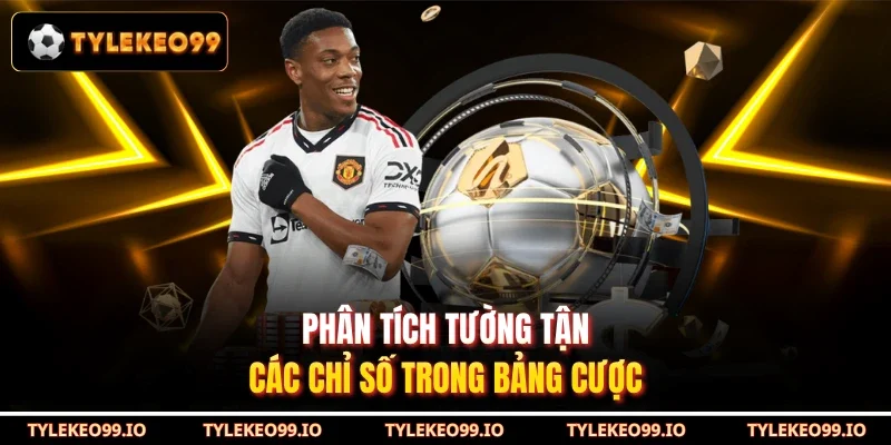 Phân tích tường tận các chỉ số trong bảng cược