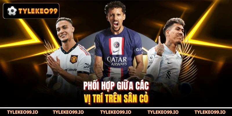 Phối hợp giữa các vị trí trên sân cỏ