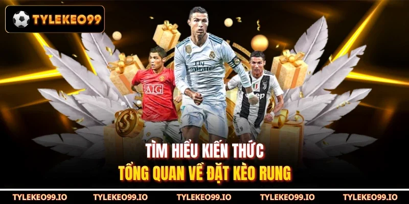 Tìm hiểu kiến thức tổng quan về đặt kèo rung